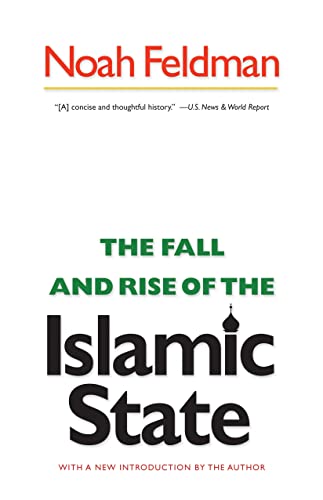 Fall and Rise of the Islamic State